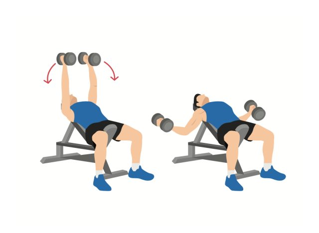 incline dumbbell flye