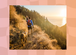 fit couple hiking on mountain trail with their dog during sunset