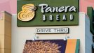 Panera Bread storefront in front of pink square background design