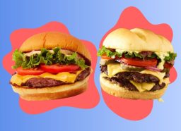 shake shack and smashburger burgers on a designed background