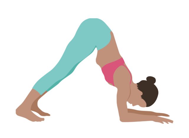 dolphin pose