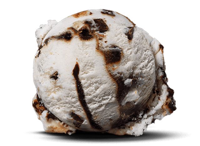 Baskin Robbins Non-Dairy Mint Chocochunk