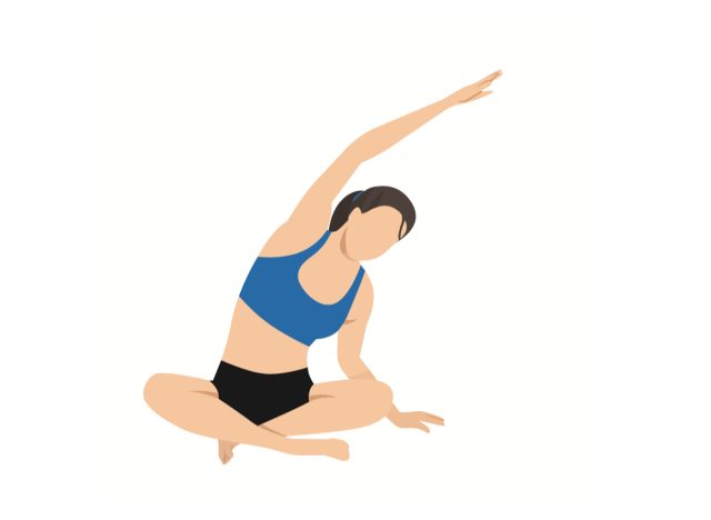 seated side bend