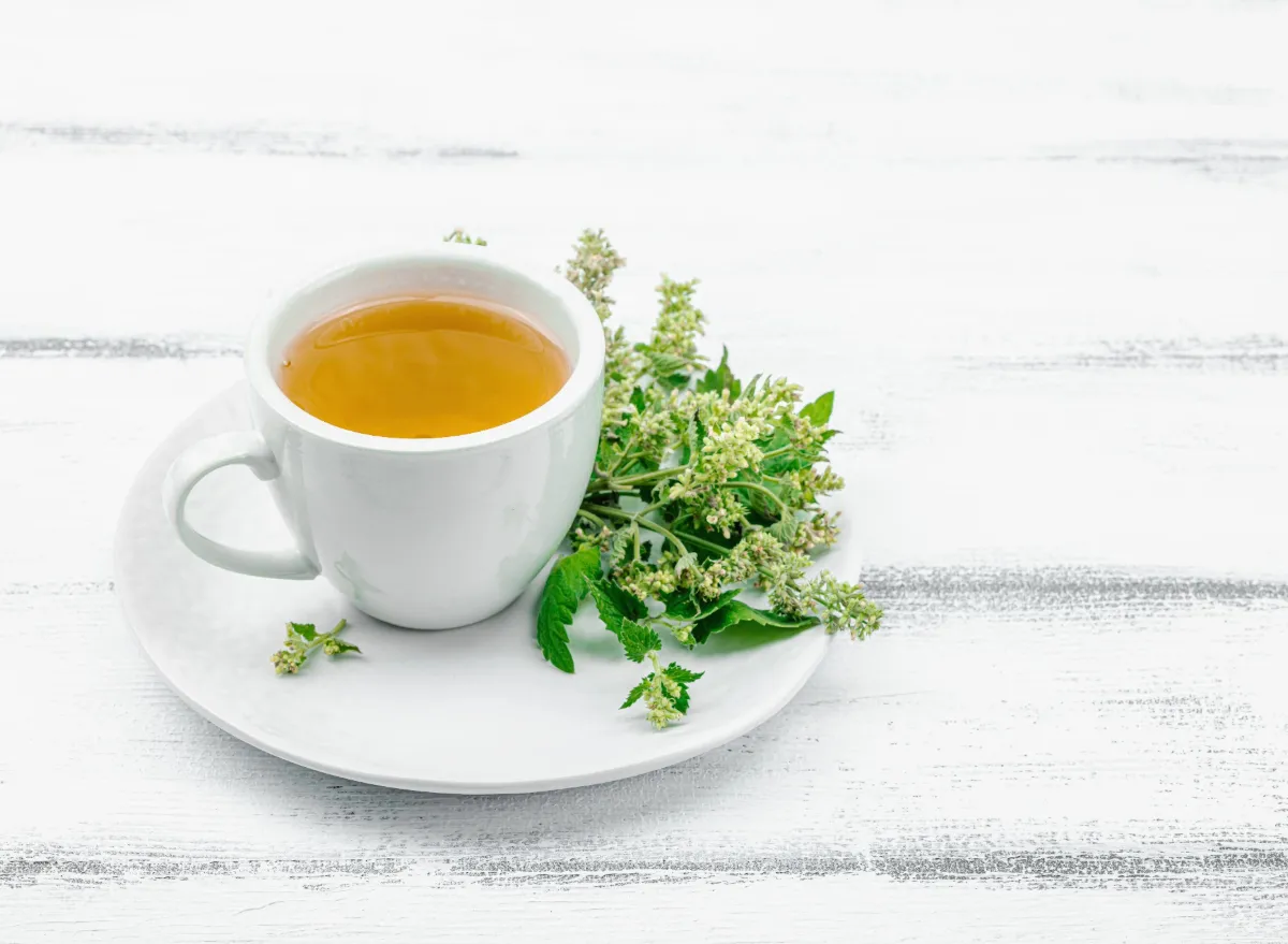 What Is the ‘Lemon Balm’ Drink & Does It Work for Weight Loss?
