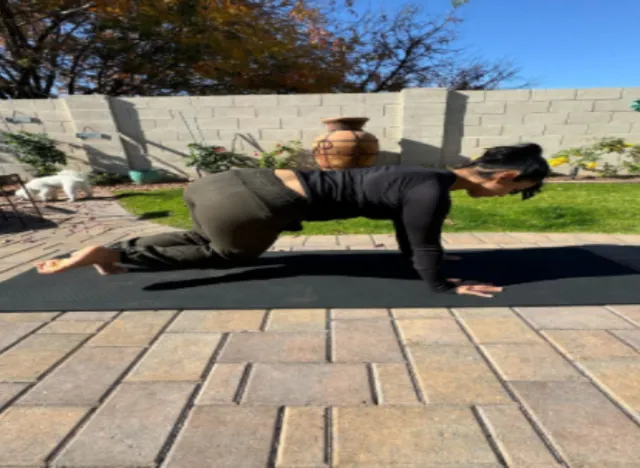 Quadruped With Knee Rotation