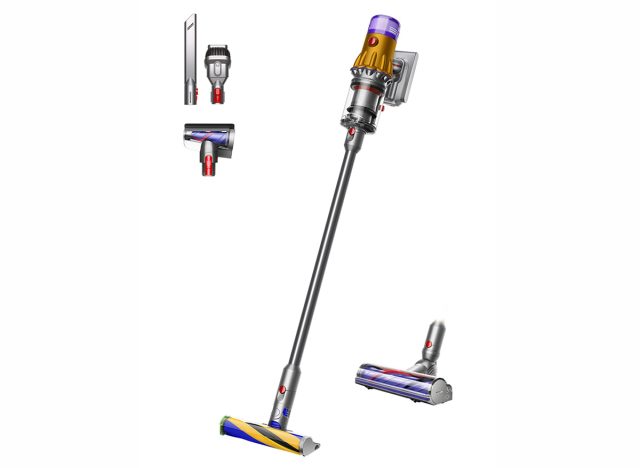 Dyson V12