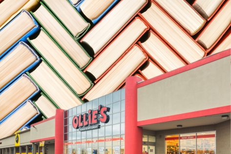 7 Best Ollie's Name-Brand Products