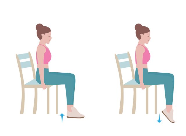 Seated Calf Raise