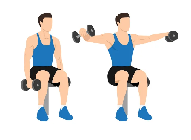 Seated Lateral Raise 