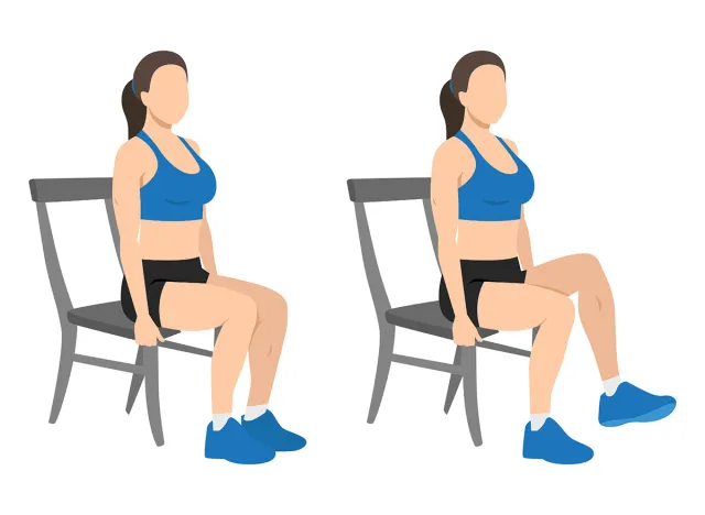 Seated Knee Lifts