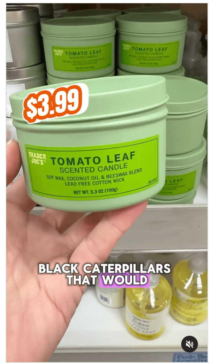 Trader Joe S Tomato Leaf Candle