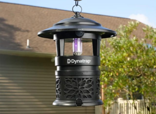 Dynatrap 1/2 Acre LED Outdoor Insect Trap with Cleaning Brush and Hook