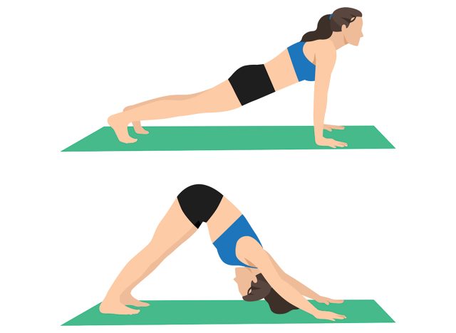 Plant to downward dog 
