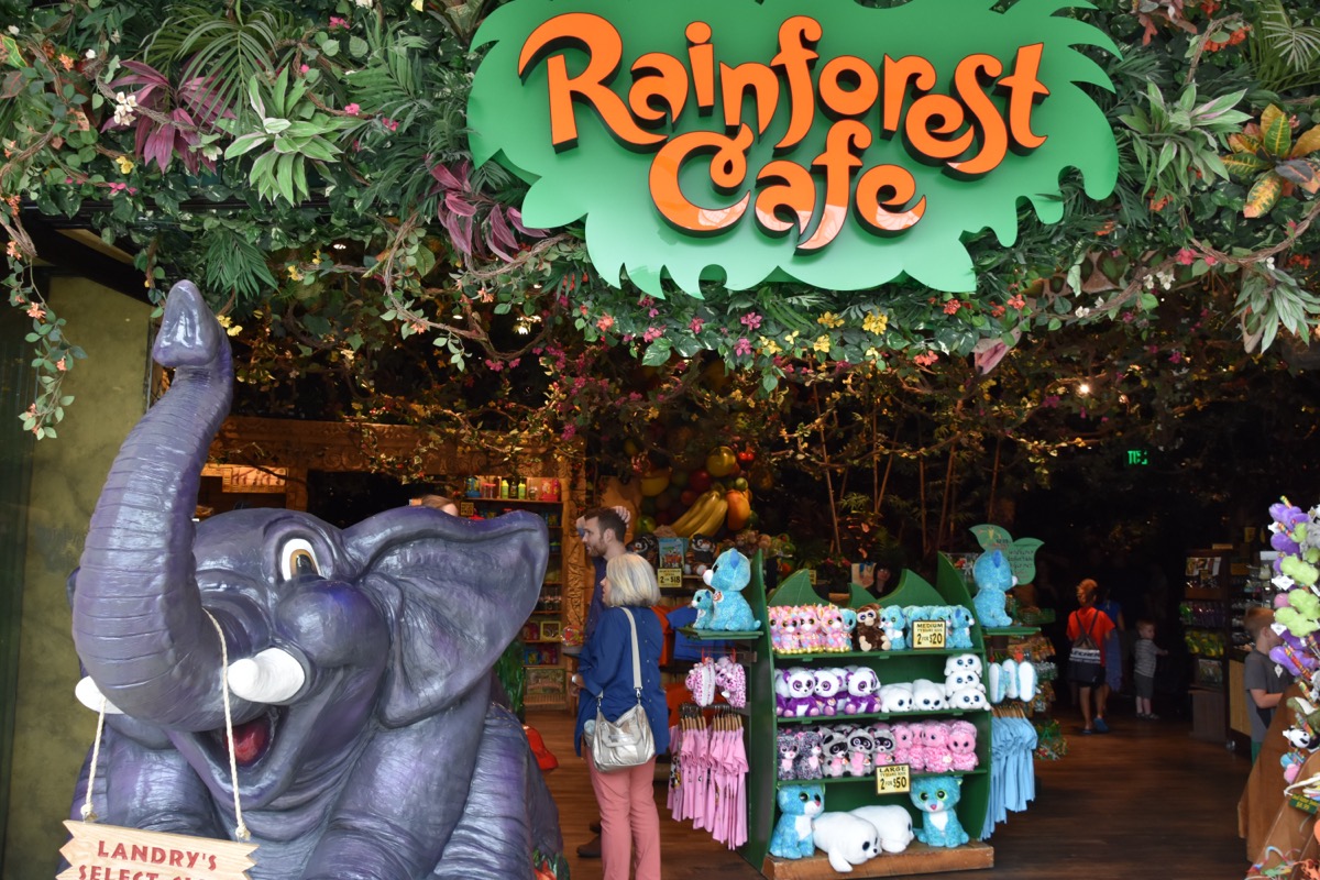 BLOOMINGTON, MINNESOTA - JUL 27: Rainforest Cafe at Mall of America in Bloomington, Minnesota, on July 27, 2017. Its the second largest mall in leaseable space and largest mall in the US.