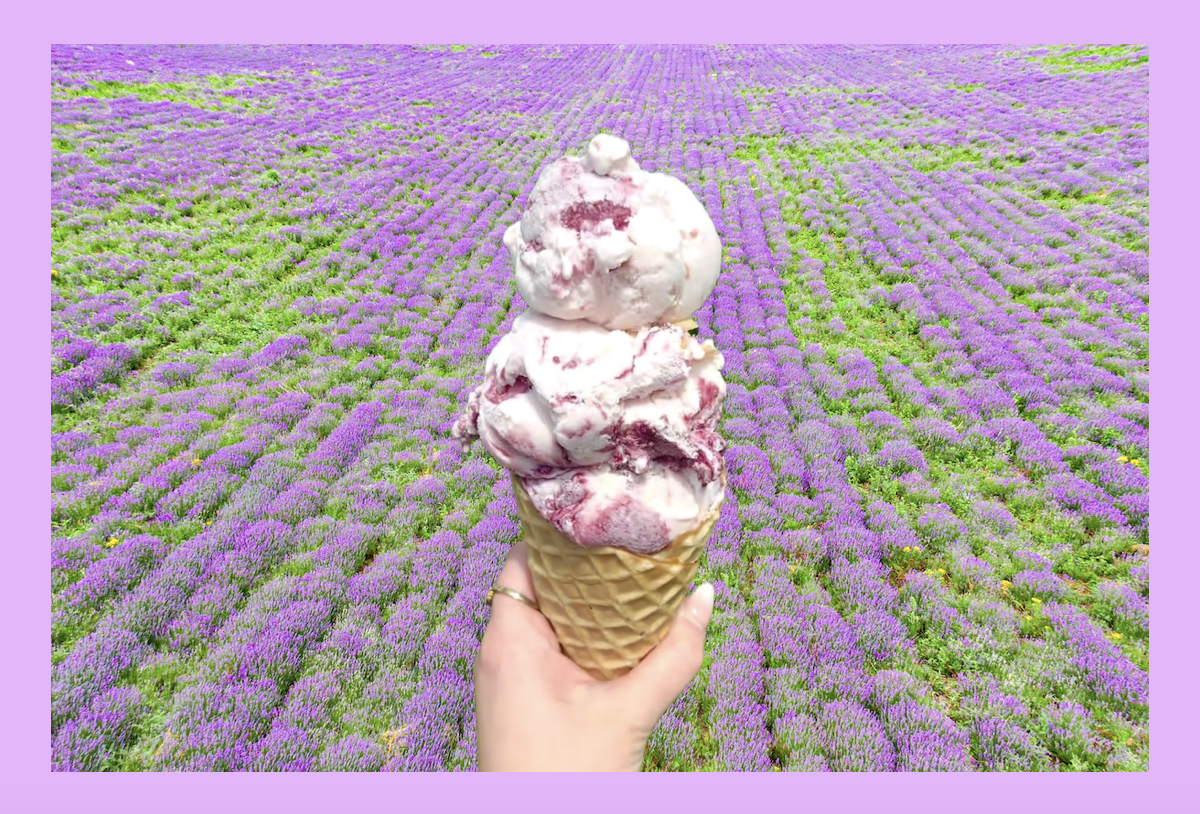 Lavendar Ice Cream, lavender field