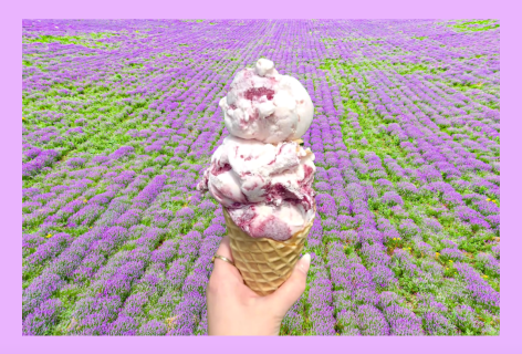 8 New Ice Cream Treats to Try This Summer