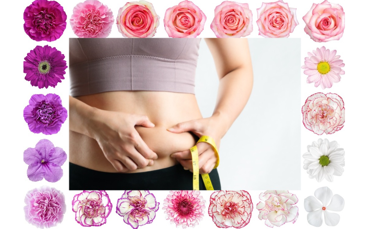 Shutterstock_2302799409 crop