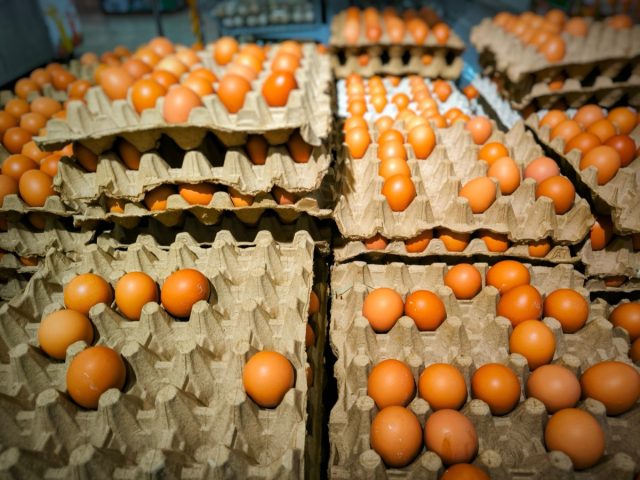 Few Remaining Eggs in a Carton at the Supermarket. Illustrating Egg Shortage. perfect for use in projects related to food supply, grocery shortages, or economic issues around food availability.
