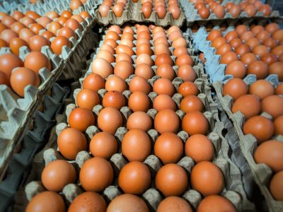 Photo of fresh eggs neatly arranged in an egg carton at a supermarket. The eggs are organized in a clean, orderly manner, showcasing the concept of freshness, organization, grocery shopping