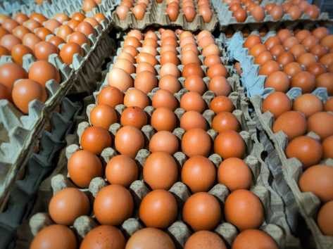 7 Egg Brands to Check After the Recall