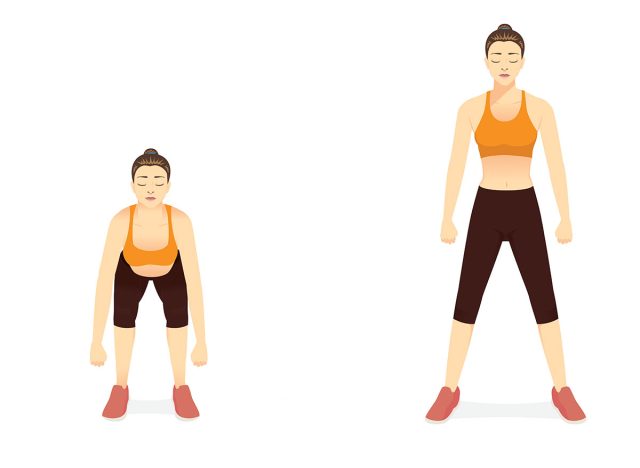 Women doing Barbell Deadlift workout in standing pose. Illustration about Fitness diagram about correct exercise poses with Heavyweights equipment in the gym. Bodyweight Deadlift 