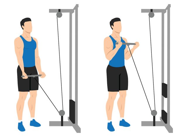 Man doing Straight bar low pulley cable curl. Flat vector illustration isolated on different layers. Workout character