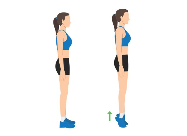 Woman doing tip toe pose move for reduce leg cellulite. Workout diagram about Calves reduction for slim leg. Flat vector illustration isolated on white background