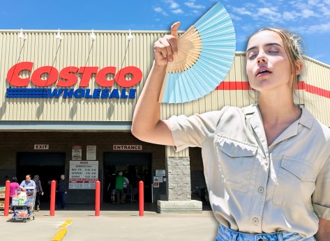 7 Best Costco Deals to "Beat the Heat"