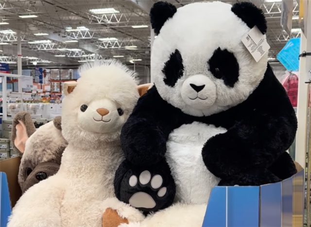 Jumbo Stuffed Animals at Costco