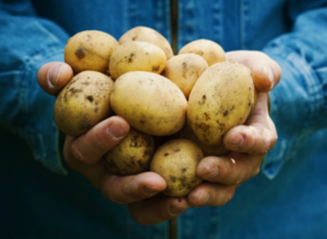 Keystone Potato Products