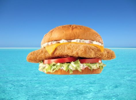 6 Best Fast-Food Fish Sandwiches—Ranked