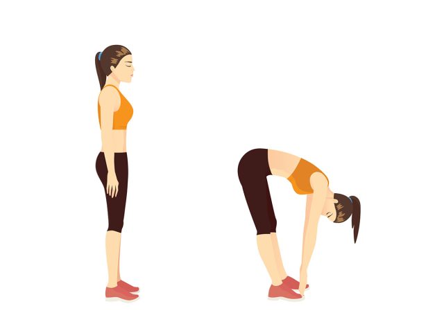 Woman doing Standing Toe Touch Stretches Exercise in 2 step. Illustration about warm up and cool down and workout.