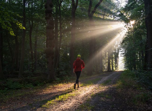 A man running in a lane on a sunny morning in a forest.