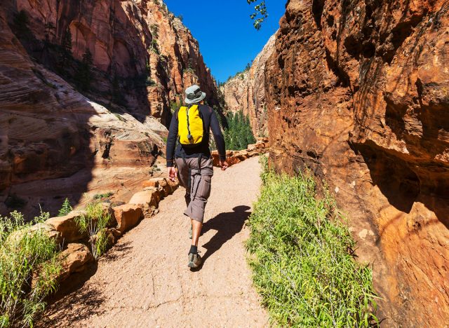 Hike in Zion national park