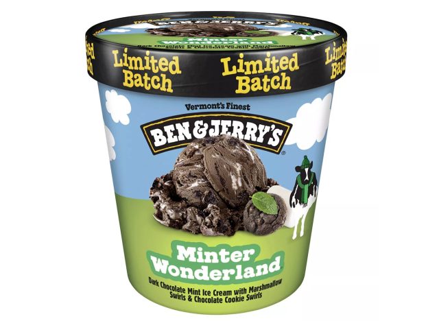 Ben & Jerry's Minter Wonderland Dark Chocolate Mint Ice Cream