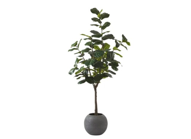 Faux 10' Fiddle Leaf Fig Tree