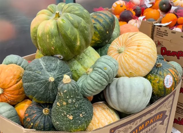 Heirloom pumpkins at Costco