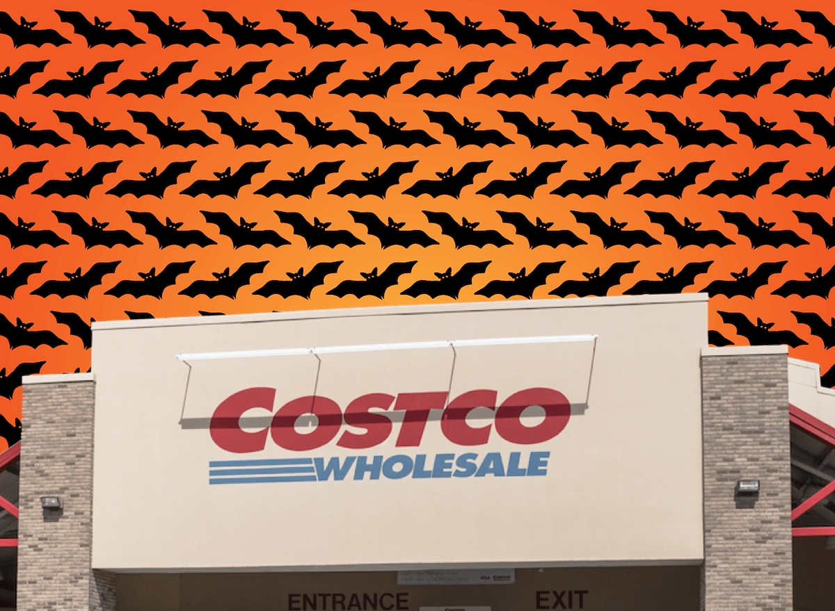 Bats, costco