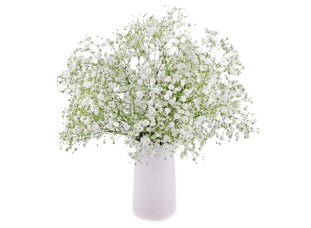 Deluxe Garden Bunch at Costco 