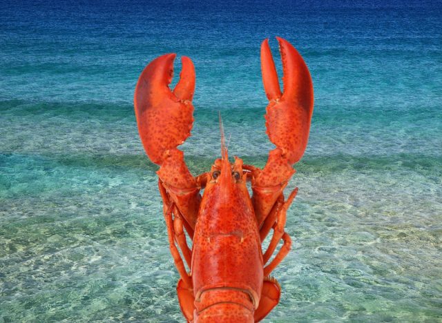 7 Restaurant Chains That Serve the Freshest Lobster