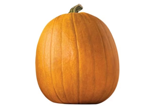 Pumpkin 