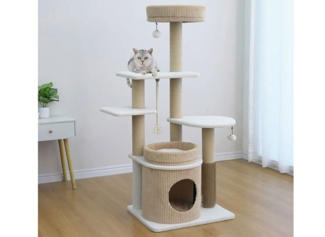 Catry Pasadena 54 inch Cat Tree