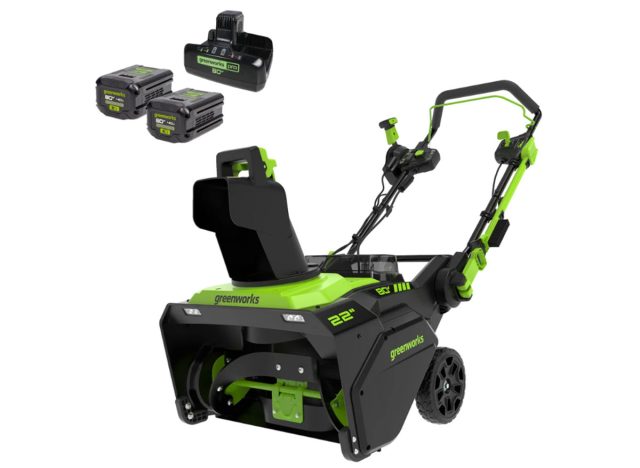 Greenworks 80V 22