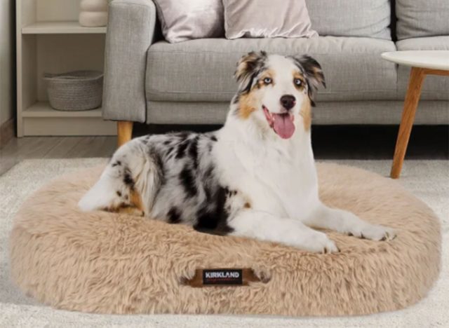 Kirkland Signature Aero Cloud Pillow Pet Bed 40" x 32"