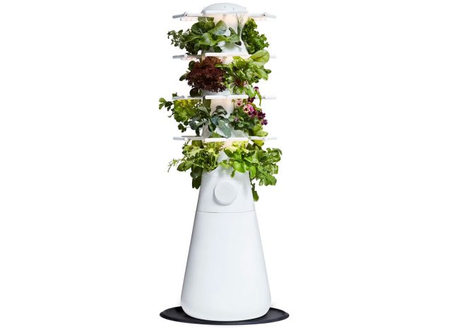 Lettuce Grow Farmstand Nook