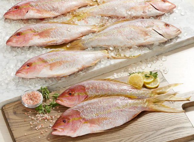 Wild Yellow Tail Snapper