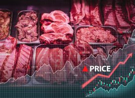 Photo of meat store and counter with raw meat. Price increase of meat products with graphs.
