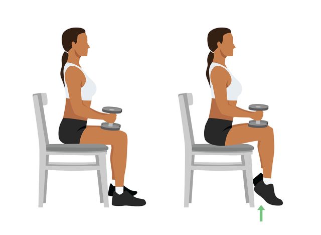 Woman doing seated dumbbell or chair calf raises. Keep both legs at a 90-degree angle. Extend the heels of pushing the toes on the ground and lifting the heels of pushing. Flat vector illustration