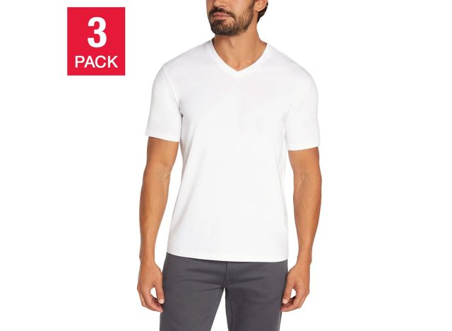 Banana Republic Men's V-Neck Tee, 3-pack