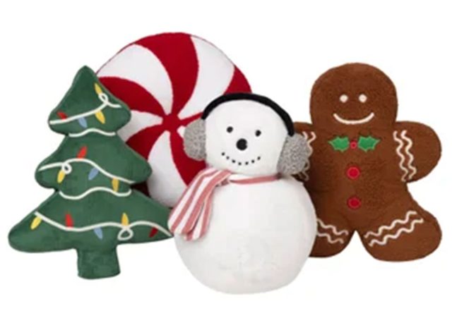 Holiday Decorative Pillow at Costco